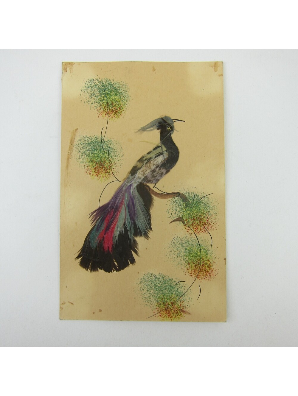 Postcard Bird Real Feathers 3D Handmade Mexico Painted Background Antique 1910s